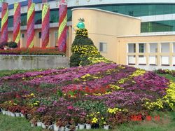 许昌鄢陵花博园天气 许昌鄢陵花博园天气