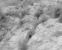 三门峡石壕古道遗迹天气 三门峡石壕古道遗迹天气