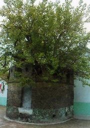 南阳汉桑城天气 南阳汉桑城天气