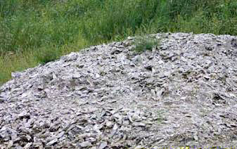 天津牡蛎滩天气 天津牡蛎滩天气