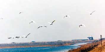 天津七里海天气 天津七里海天气