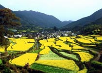 上饶庆源天气 上饶庆源天气