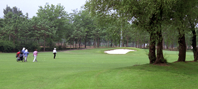 天津杨柳青森林公园天气 天津杨柳青森林公园天气