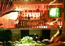 北京什刹海酒吧街天气 北京什刹海酒吧街天气