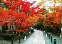 门头沟小龙门森林公园天气 门头沟小龙门森林公园天气