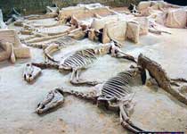 西工天子驾六博物馆天气 西工天子驾六博物馆天气