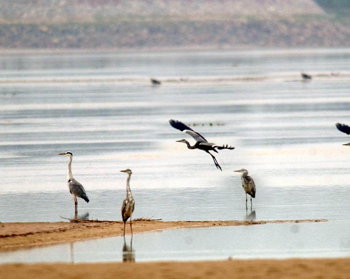 郑州黄河富景生态园天气 郑州黄河富景生态园天气