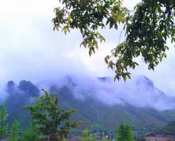 秦皇岛桃林口天气 秦皇岛桃林口天气