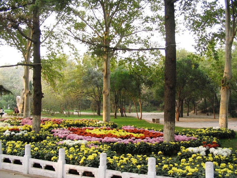 邯郸丛台公园天气 邯郸丛台公园天气