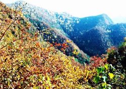 涿州石佛国家森林公园天气 涿州石佛国家森林公园天气