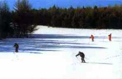 承德塞罕坝滑雪场天气 承德塞罕坝滑雪场天气