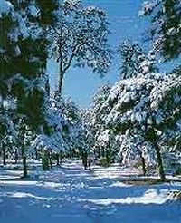 承德暖流暄波天气 承德暖流暄波天气