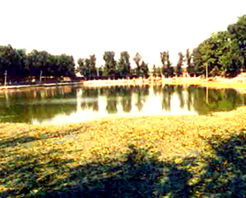 北京金中都太液池遗址天气 北京金中都太液池遗址天气