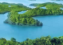 新余仙女湖天气 新余仙女湖天气