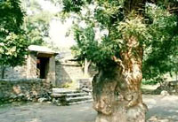 北京曹雪芹纪念馆天气 北京曹雪芹纪念馆天气