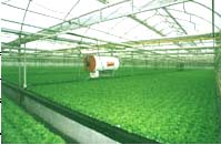 顺义兴绿园天气