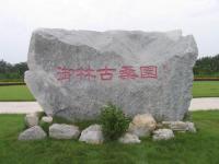 北京大兴御林古桑园天气 北京大兴御林古桑园天气