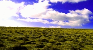 宁武马仑草原天气 宁武马仑草原天气