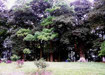 连山福林苑天气 连山福林苑天气