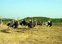 佛冈斑龙生态科技园天气 佛冈斑龙生态科技园天气