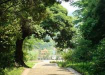 连州福山天气 连州福山天气