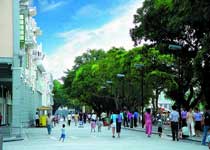 蓬江长堤风貌街天气 蓬江长堤风貌街天气