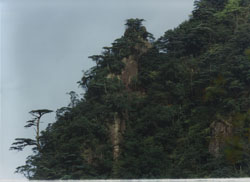 乳源天井山森林公园天气 乳源天井山森林公园天气