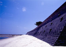 合浦白龙珍珠城天气 合浦白龙珍珠城天气