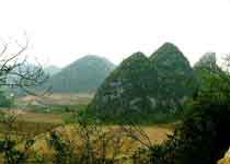 柳州大桥、洛维观光农业旅游区 柳州大桥、洛维观光农业旅游区