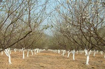 广州萝岗风景区天气 广州萝岗风景区天气