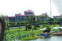 番禺横沥农业旅游天气 番禺横沥农业旅游天气