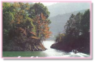 韶关小坑国家森林公园天气 韶关小坑国家森林公园天气