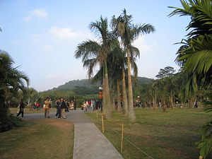 深圳莲花山公园天气 深圳莲花山公园天气