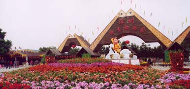 深圳市野生动物园天气 深圳市野生动物园天气