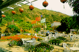 深圳青青世界天气 深圳青青世界天气