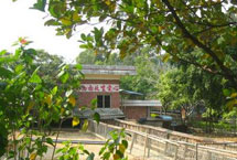 佛山蔼雯教育农庄天气 佛山蔼雯教育农庄天气