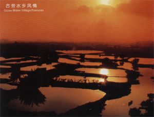 鹤山古劳水乡天气