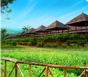 廉江宏达农家乐园天气 廉江宏达农家乐园天气