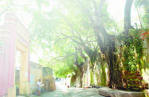 中山月山公园天气 中山月山公园天气