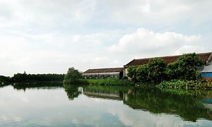 中山广丰村水乡游天气 中山广丰村水乡游天气