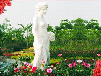 广州从化宝趣玫瑰世界天气 广州从化宝趣玫瑰世界天气