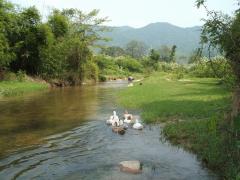 广州大夫山森林公园天气 广州大夫山森林公园天气