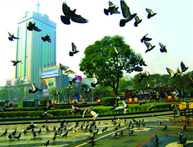 太原五一广场天气 太原五一广场天气