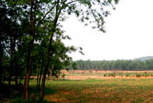 长治嶷神岭天气 长治嶷神岭天气