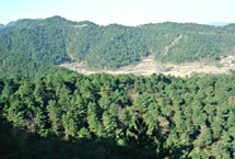 长治紫团山天气 长治紫团山天气