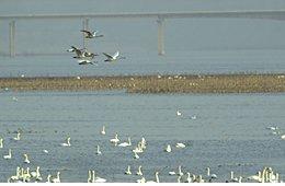 晋城涧河狩猎区天气 晋城涧河狩猎区天气