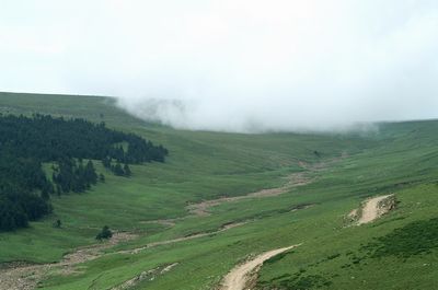 忻州五寨沟荷叶坪天气 忻州五寨沟荷叶坪天气