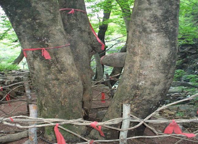 运城历山皇姑幔天气 运城历山皇姑幔天气