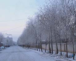 呼和浩特黑大门国家森林公园天气 呼和浩特黑大门国家森林公园天气
