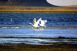 赤峰达里湖 赤峰达里湖
